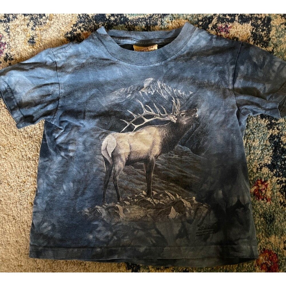 Vintage The mountain graphic tee